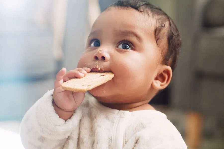 cute baby eating cracker